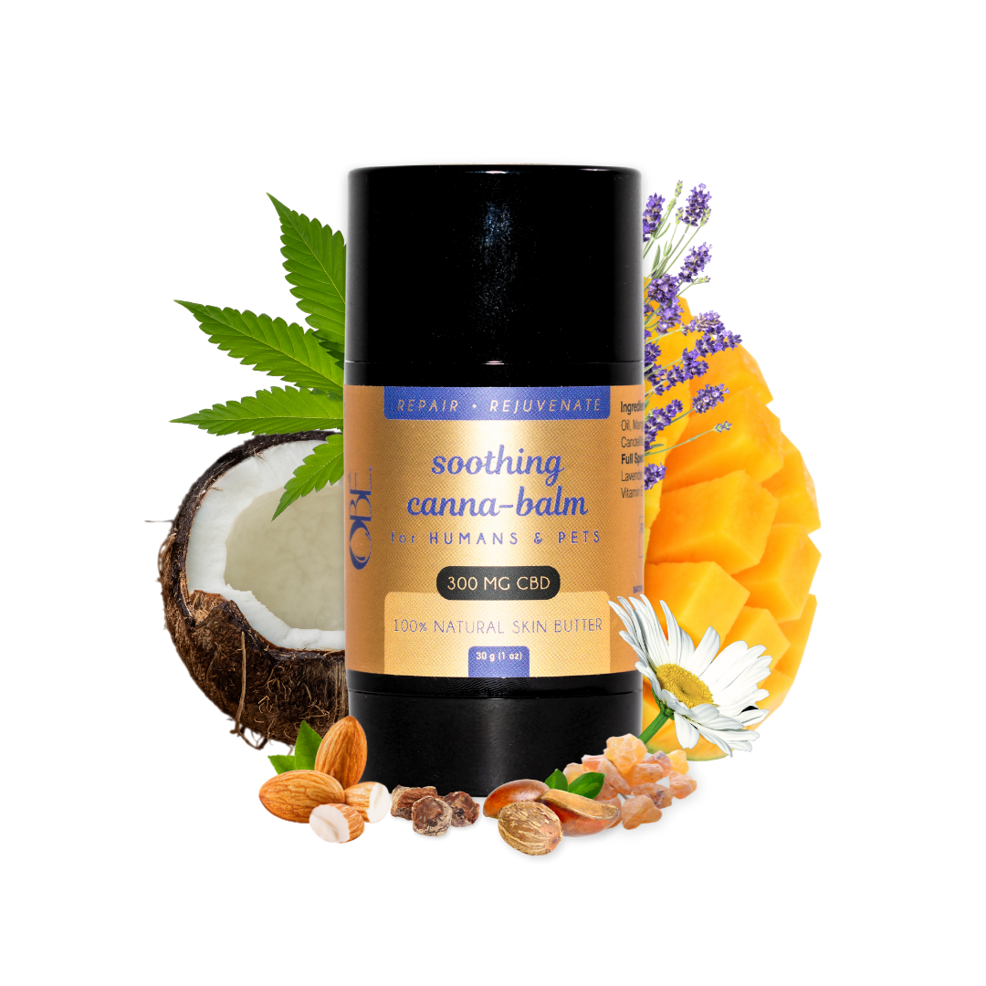 CBD Balm