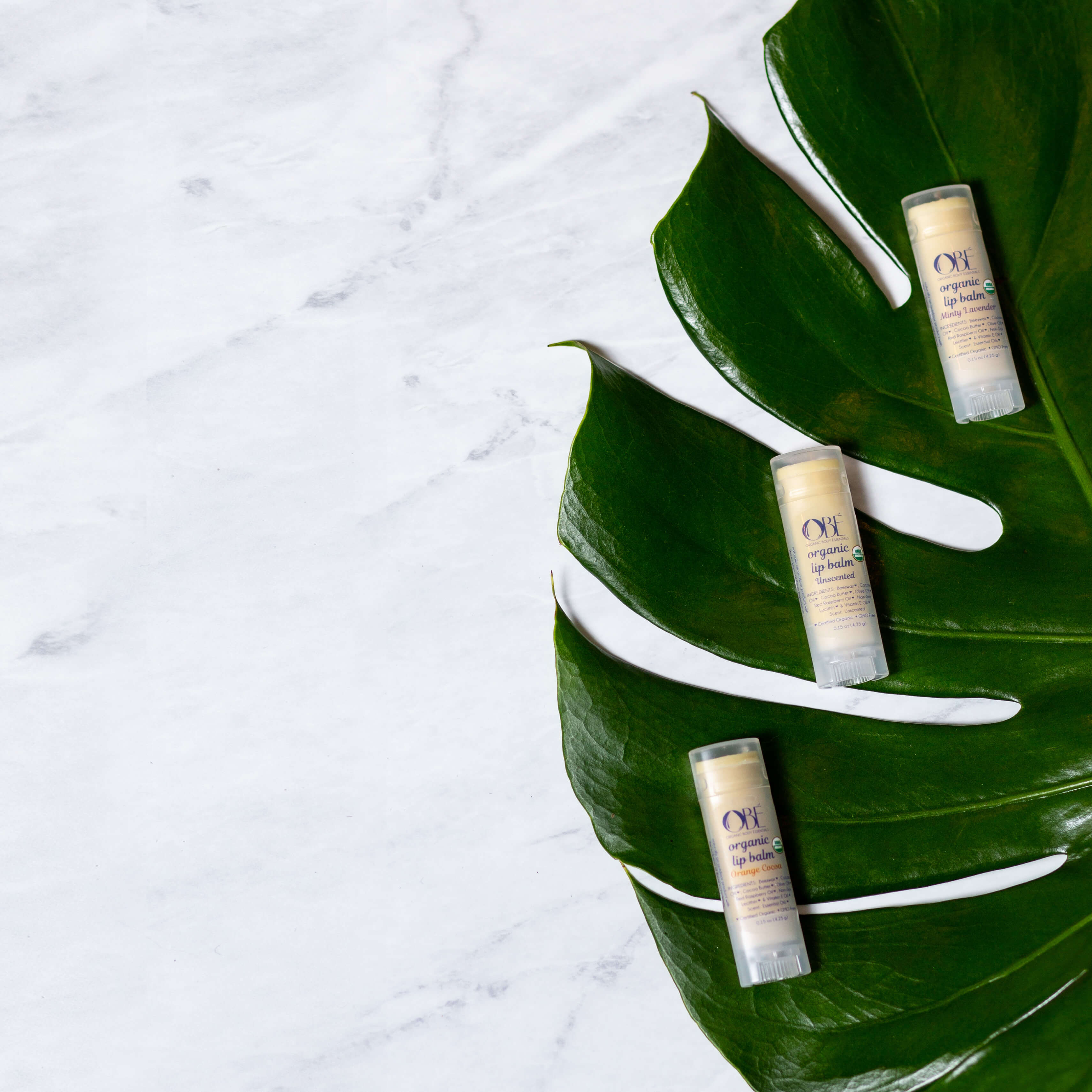 Organic lip balm group