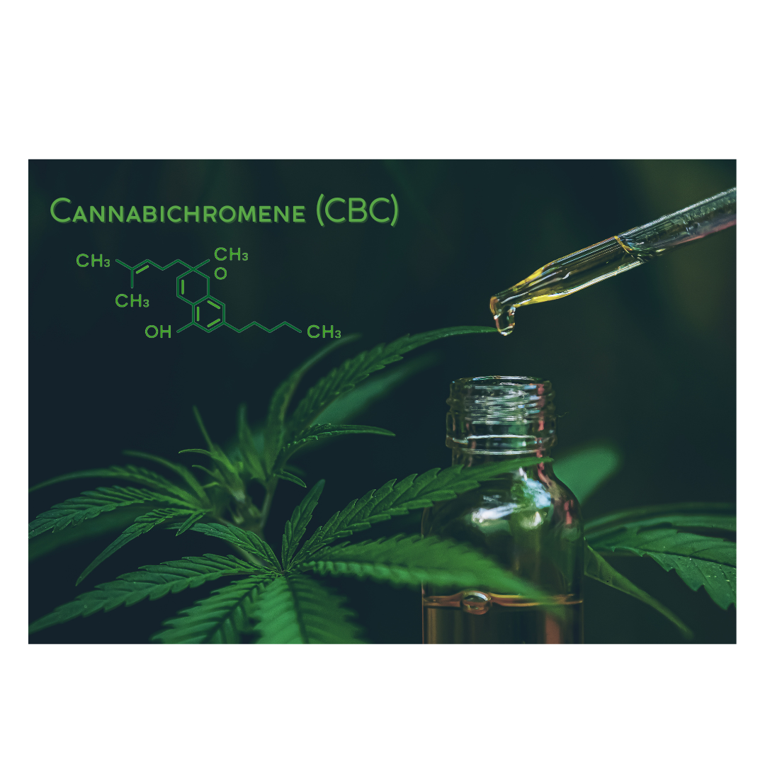 Unlock the Power of CBC (Cannabichromene) with Extreme Terpenes Tinctures