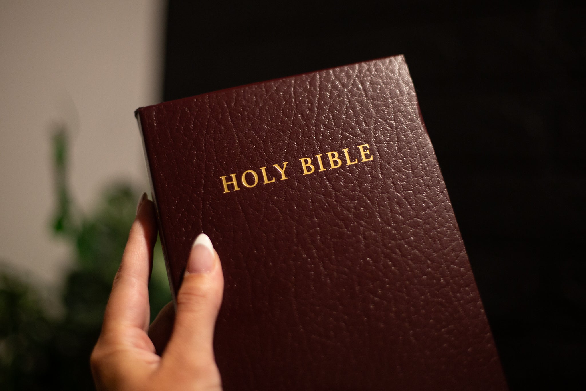 BIBLE