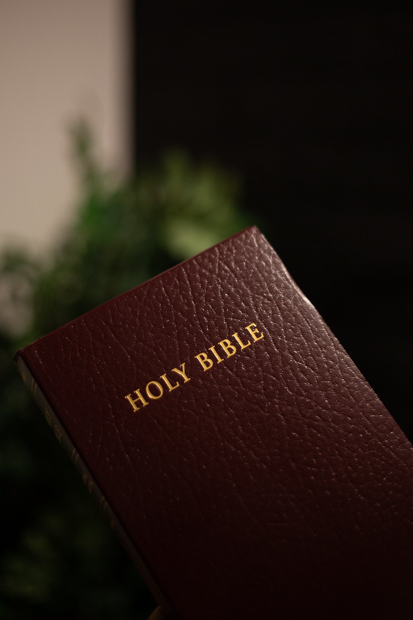 BIBLE